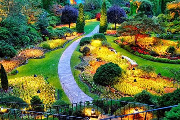 Haggala Botanical Garden Sri Lanka